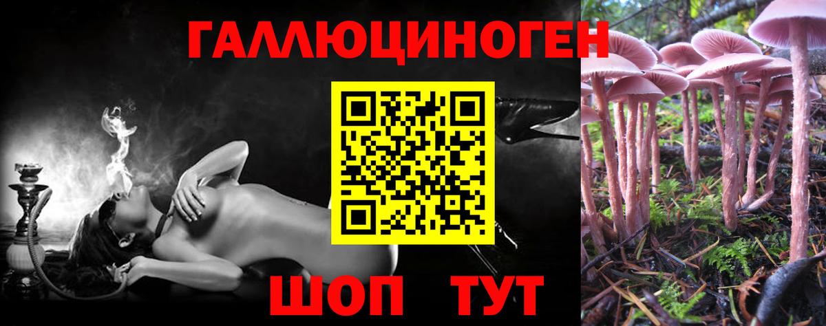 Галлюциногенные грибы Magic Shrooms  Галлюциногенные грибы Psilocybine cubensis  Кореновск  как найти закладки  Вход с VPN 